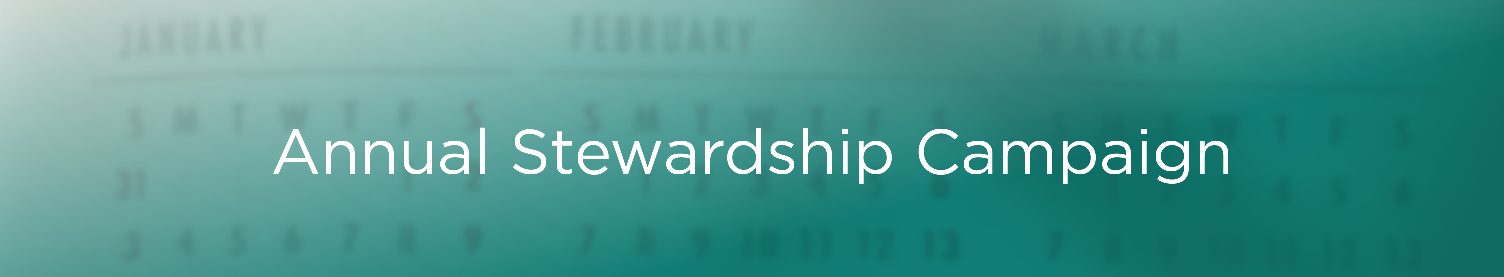 Annual Stewardship_Web Header